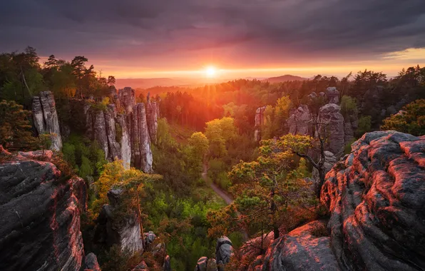 Autumn, forest, the sky, the sun, clouds, rays, trees, sunset