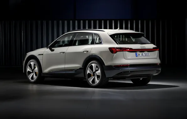 Light, grey, background, Audi, side view, E-Tron, 2019