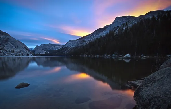 Mountains, dawn, california, Tenaya Lake