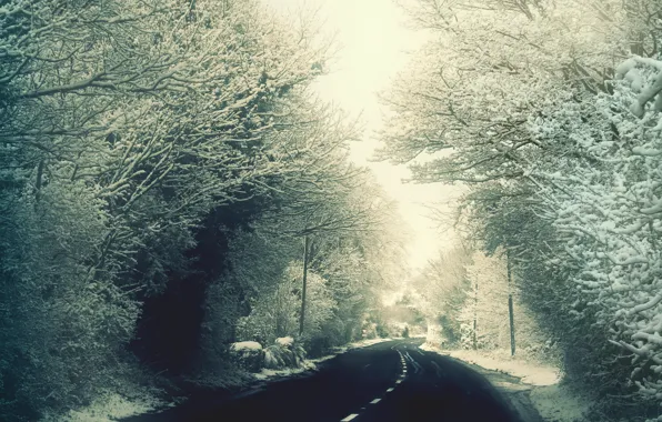 Picture road, snow, trees