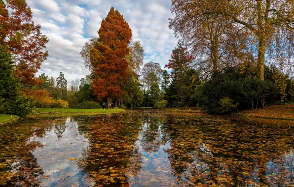 Autumn, the sky, leaves, clouds, trees, pond, Park, people