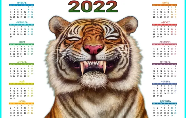 Calendar, saver, 2022