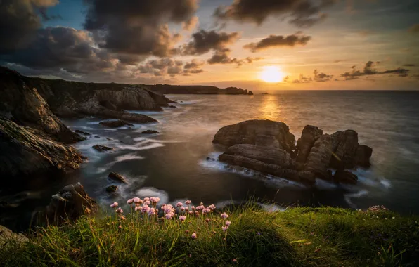 Picture sea, the sky, grass, the sun, clouds, rays, light, sunset