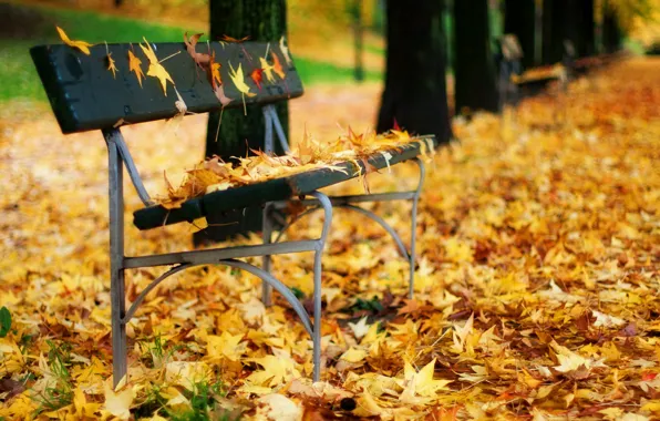 Picture autumn, leaves, Park, bench