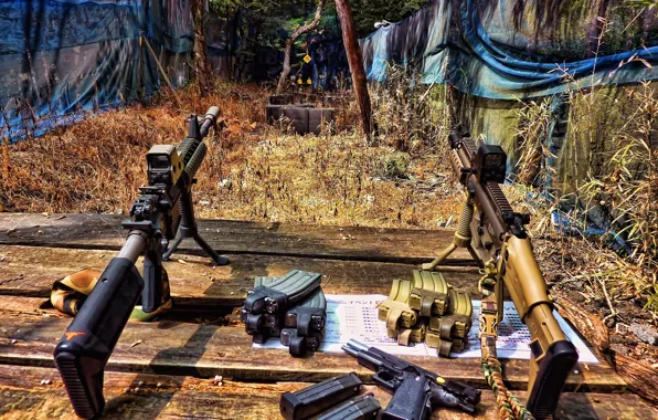 Ammunition, rifle, the shooting range