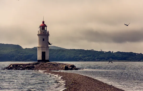 Picture sea, beach, summer, lighthouse, seagulls, braid, Cape, Vladivostok