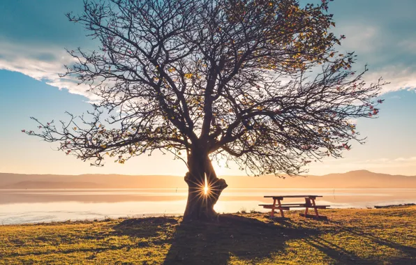 Picture autumn, trees, sunset, table