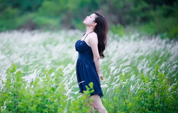 Picture field, summer, girl, Asian