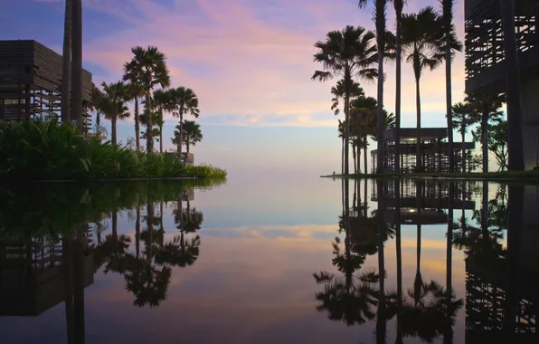 Sea, landscape, palm trees, stay, island, Nature, Bali, resort