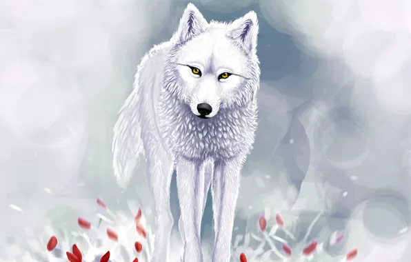 Winter, snow, red flowers, White wolf