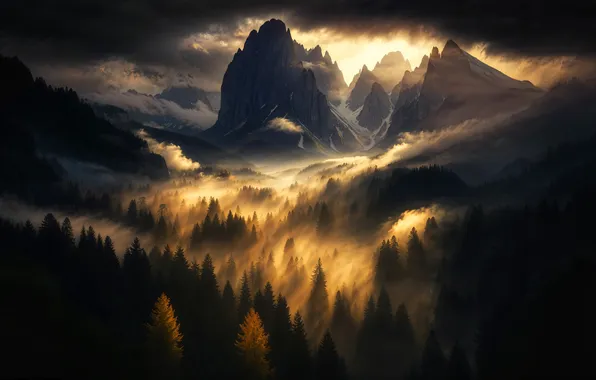 Forest, light, mountains, clouds, nature, fog, rocks, the slopes
