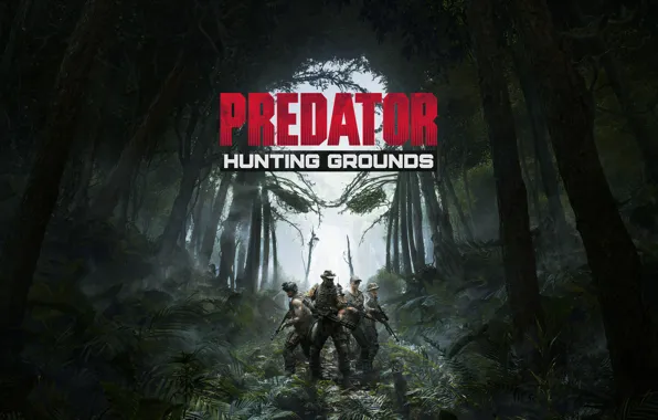 Game, Predator Hunting Grounds, IllFonic