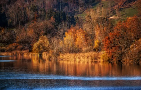 Picture autumn, river, treatment