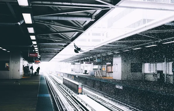 Snow, people, dove, station, platform, Ryan Millier