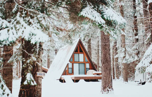 Snow, Snow, Winter Forest, Winter Forest, Wooden House, Wooden House