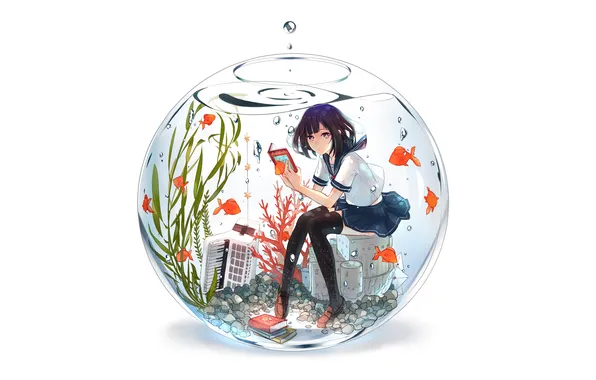 Fish, books, building, aquarium, Girl