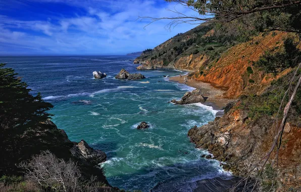 Picture sea, the sky, trees, rocks, CA, USA