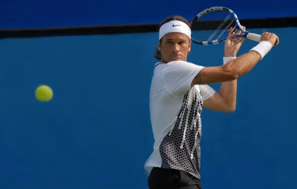 Picture blue, Tennis, Concentrated, Carlos Moya, Yellow ball