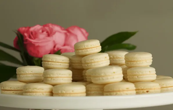Pink, dessert, sweet, a bouquet of roses, macaroon