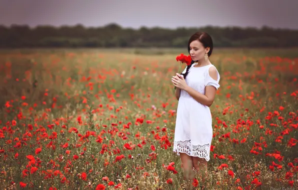 Girl, sweetheart, white, bouquet, earrings, dress, brunette, beautiful