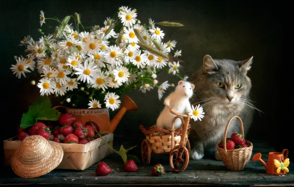 Cat, flowers, berries, toy, chamomile, mouse, strawberry