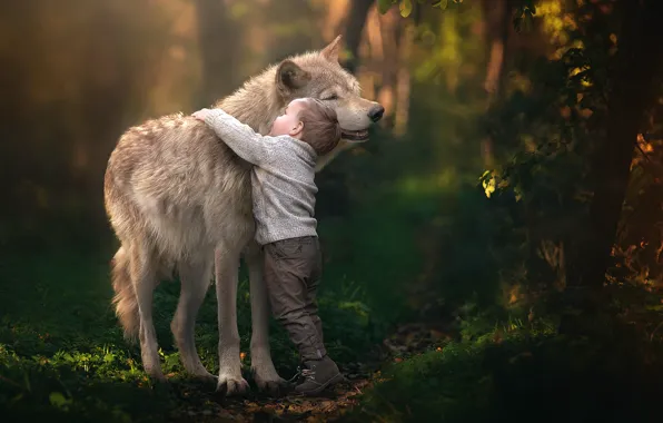 Picture wolf, boy, friendship