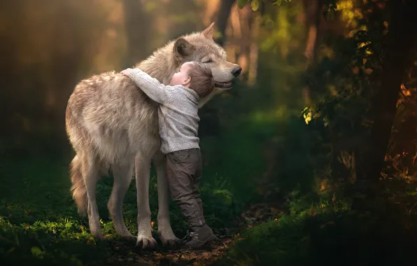 Wolf, boy, friendship