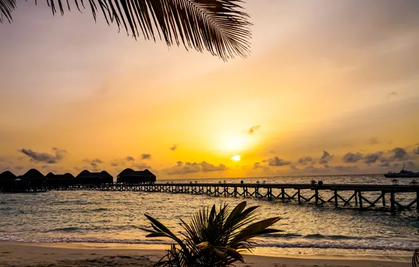 Picture sand, sea, sunset, branches, tropics, palm trees, shore, ship