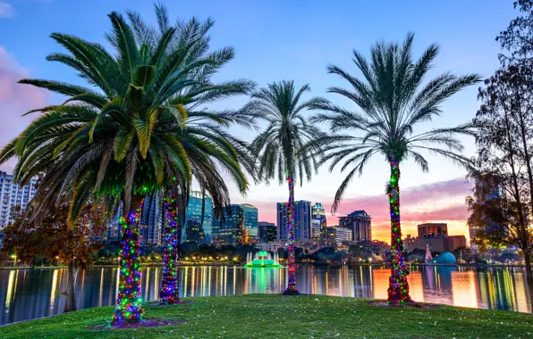 Lake, Park, palm trees, FL, Orlando, illumination, Orlando, Florida
