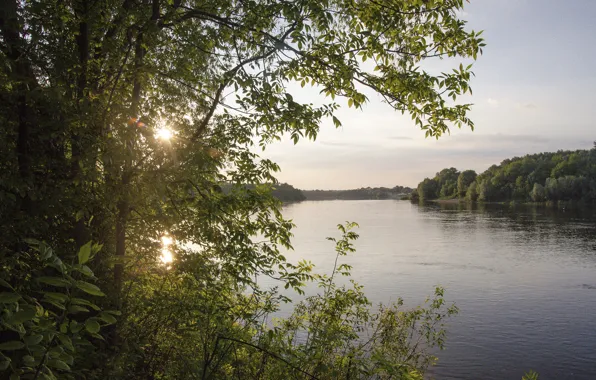 Picture summer, water, the sun, trees, sunset, lake, river, foliage