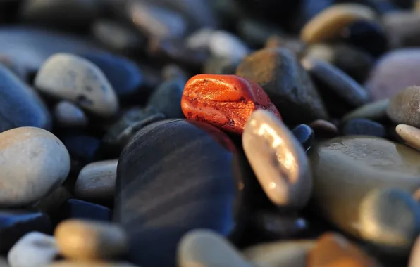 Picture Rocks, Macro, Stones