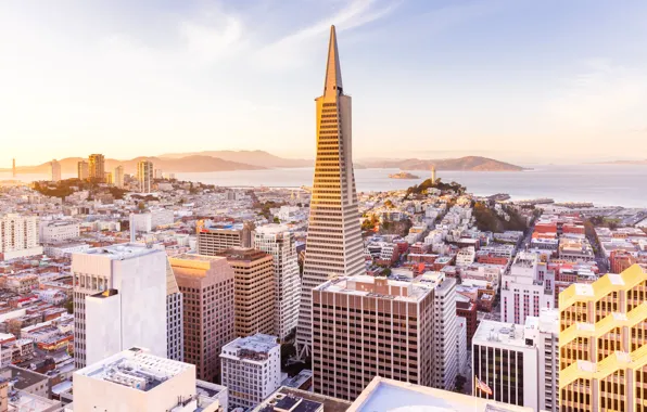 Landscape, tower, skyscraper, home, panorama, San Francisco, USA
