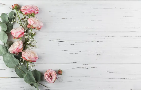 Flowers, roses, pink, wood, pink, flowers, beautiful, roses