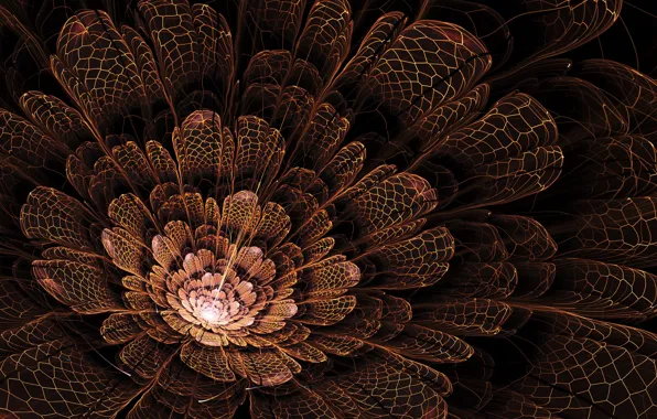 Picture flowers, abstraction, petals, art