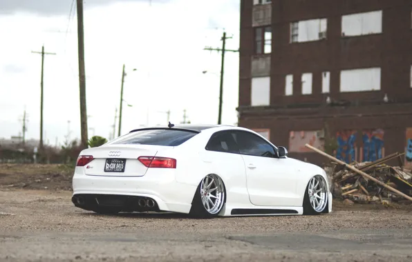 Picture Audi, Audi, white, rear, low, stance
