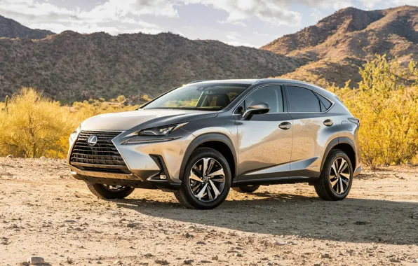 Picture 2018, crossover, 300h, Lexus NX