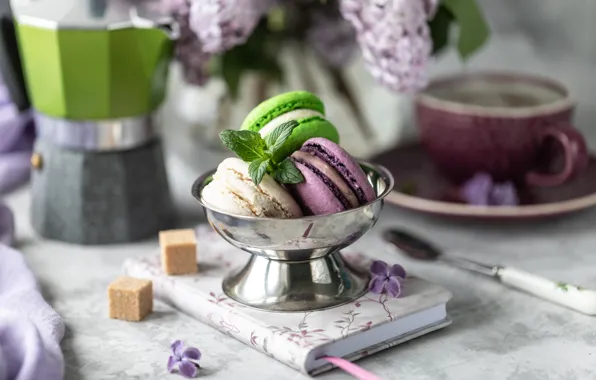 Coffee, cookies, Cup, lilac, almond, Karina Klachuk
