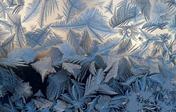 Picture glass, patterns, frost