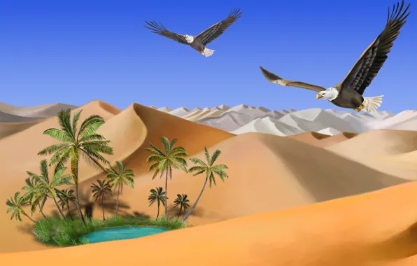 Sand, lake, palm trees, Desert, oasis, flight, eagles