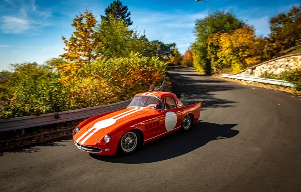 Road, Trees, 1959, Skoda, Skoda, Racing car, Racing car, Skoda 1100 OHC Coupe