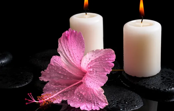 Picture flower, water, drops, candles, hibiscus, Spa stones