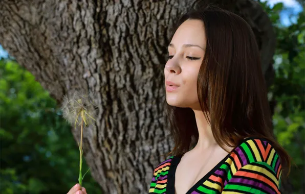 Nature, tree, dandelion, clothing, hair, makeup, Alma