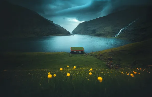 Grass, flowers, mountains, house, the fjord
