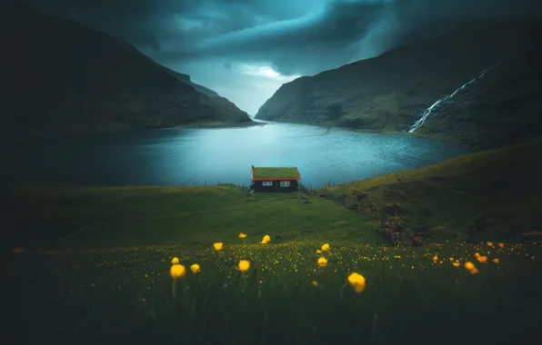 Picture grass, flowers, mountains, house, the fjord