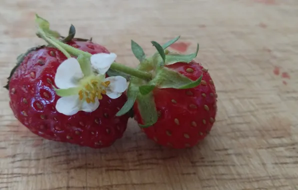 Picture Strawberry, Berries, Strawberry