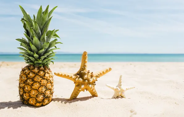 Sand, sea, beach, summer, stay, star, summer, pineapple
