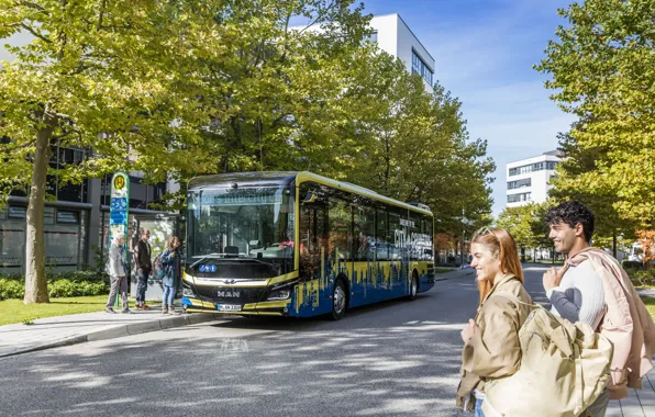 Wallpaper Home Road The City Trees People Bus Man Electric Bus