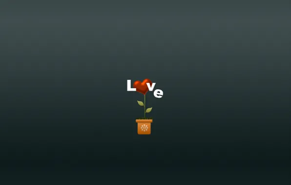 Flower, love, flowers, heart, minimalism, love, heart, pot