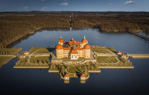 Picture forest, lake, castle, island, Germany, Germany, Saxony, Moritzburg
