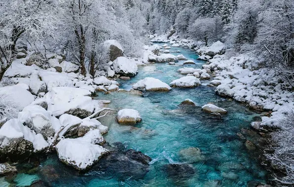 Winter, forest, snow, trees, landscape, nature, stones, rocks